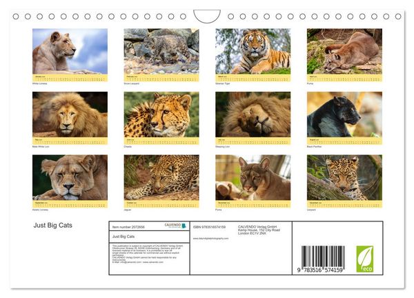 Produktbild: Just Big Cats (Wall Calendar 2026 DIN A4 landscape), CALVENDO 12 Month Wall Calendar