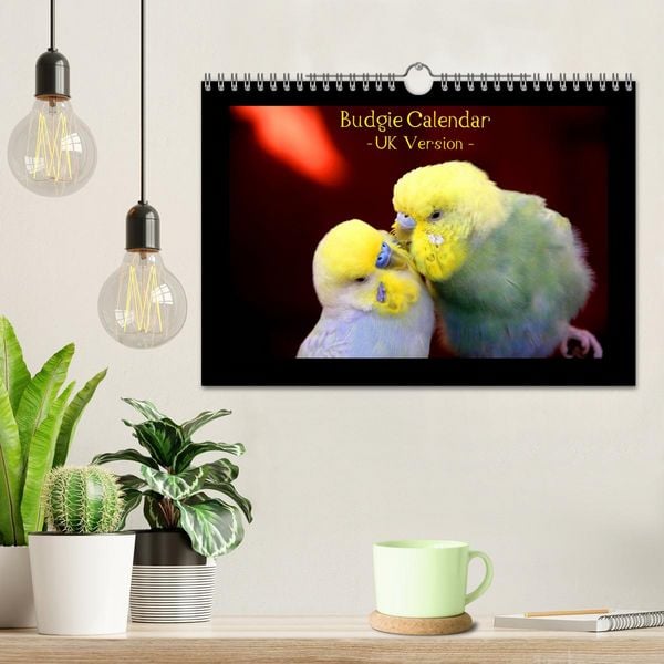 Produktbild: Budgie Calendar - UK Version (Wall Calendar 2026 DIN A4 landscape), CALVENDO 12 Month Wall Calendar
