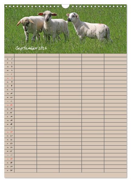 Produktbild: Der bel&auml;mmerte Familienplaner (Wandkalender 2026 DIN A3 hoch), CALVENDO Monatskalender
