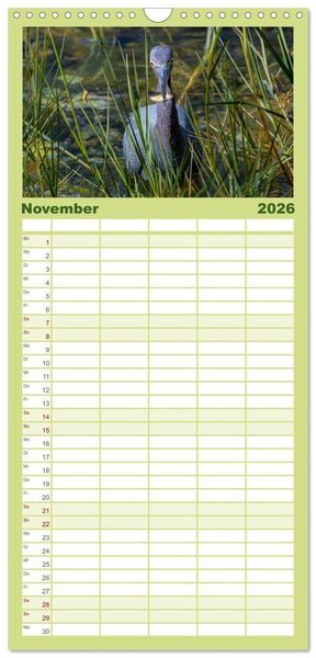 Produktbild: Familienplaner 2026 - Blaureiher und Dreifarbenreiher mit 5 Spalten (Wandkalender, 21 x 45 cm) CALVENDO
