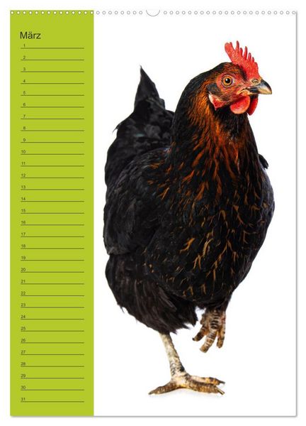 Produktbild: Kunterbunte H&uuml;hner Truppe (Wandkalender 2026 DIN A2 hoch), CALVENDO Monatskalender