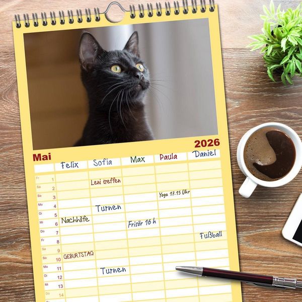 Produktbild: Familienplaner 2026 - Tierschutzkatzen vom TSV-Neuss - Gro&szlig;es Gl&uuml;ck auf sanften Pfoten mit 5 Spalten (Wandkalender, 21 x 45 cm) CALVENDO