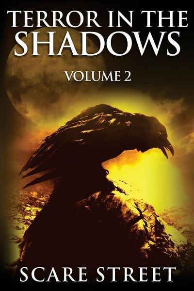 Produktbild: Terror in the Shadows Volume 2: Scary Ghosts, Paranormal & Supernatural Horror Short Stories Anthology