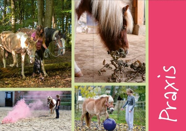 Produktbild: Enrichment f&uuml;r Pferde