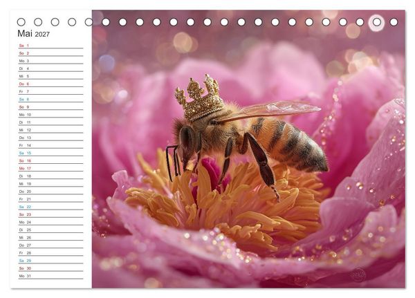 Produktbild: Tierisch genial (Tischkalender 2027 DIN A5 quer), CALVENDO Monatskalender