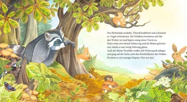 Produktbild: Der kleine Waschb&auml;r findet neue Freunde &ndash; ein Bilderbuch f&uuml;r Kinder ab 2 Jahren