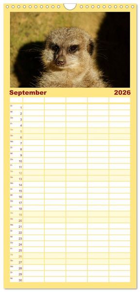 Produktbild: Familienplaner 2026 - Erdm&auml;nnchen - Zusammen sind wir stark mit 5 Spalten (Wandkalender, 21 x 45 cm) CALVENDO