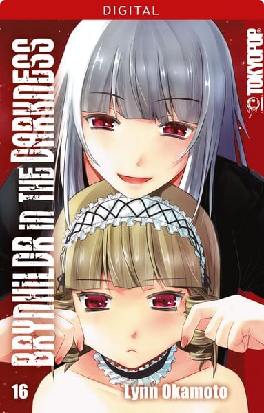 Produktbild: Brynhildr in the Darkness 16