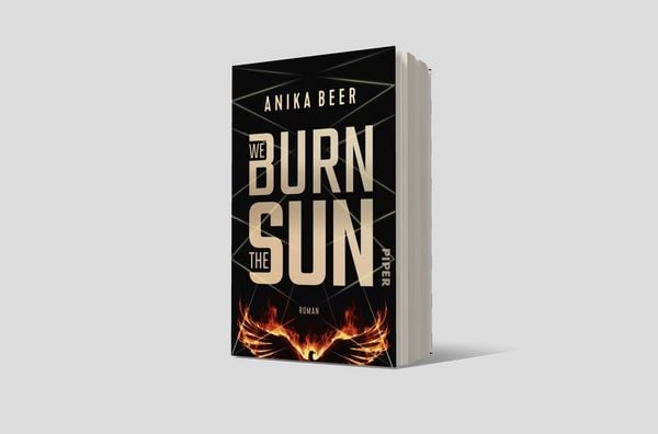 Produktbild: We Burn the Sun