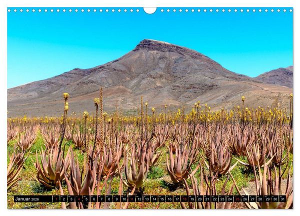 Produktbild: Fuerteventura - Hart am Wind (Wandkalender 2026 DIN A3 quer), CALVENDO Monatskalender