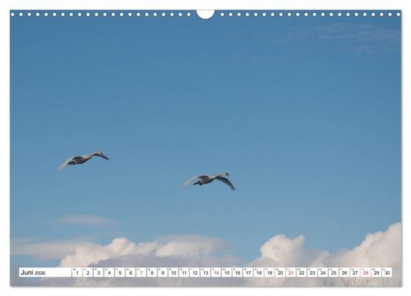 Produktbild: Zauberhaftes Mangfalltal (Wandkalender 2026 DIN A3 quer), CALVENDO Monatskalender