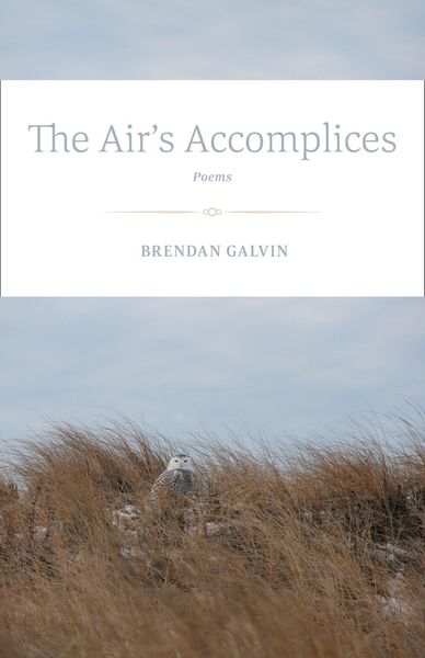 Produktbild: The Air's Accomplices
