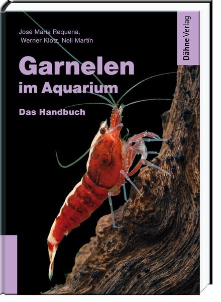 Produktbild: Garnelen im Aquarium