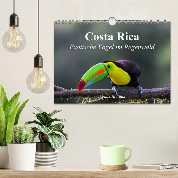 Produktbild: Costa Rica - Exotische V&ouml;gel im Regenwald (Wandkalender 2026 DIN A4 quer), CALVENDO Monatskalender