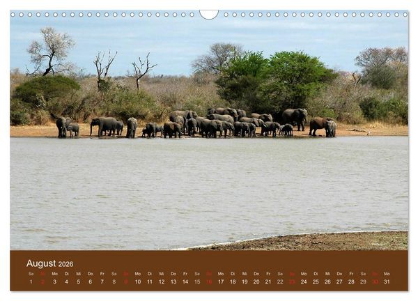 Produktbild: Namibia - faszinierende Menschen und Tiere (Wandkalender 2026 DIN A3 quer), CALVENDO Monatskalender