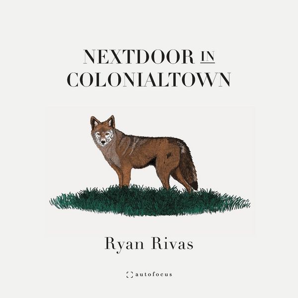 Produktbild: Nextdoor in Colonialtown