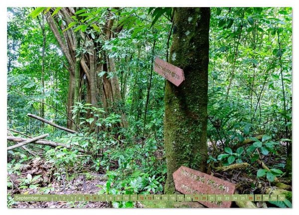 Produktbild: Sao Tome. Paradiesinsel vor der K&uuml;ste Westafrikas (Wandkalender 2026 DIN A2 quer), CALVENDO Monatskalender