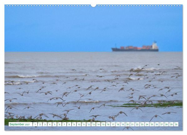 Produktbild: Schillig und Horumersiel - Im Wangerland unterwegs (Wandkalender 2027 DIN A2 quer), CALVENDO Monatskalender