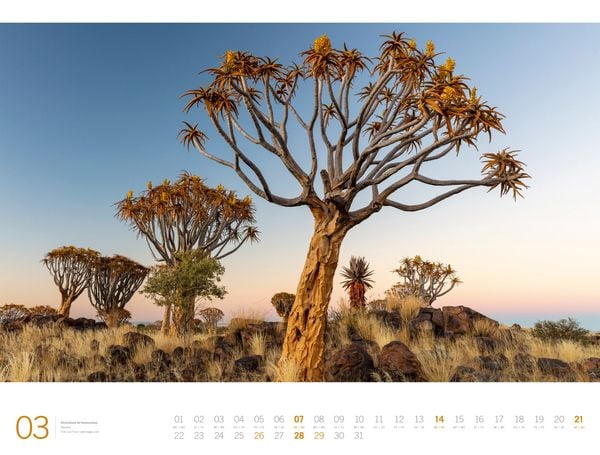 Produktbild: Afrika Gallery Kalender 2027