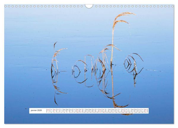 Produktbild: J'adore Le Cotentin (Calendrier mural 2026 DIN A3 vertical), CALVENDO calendrier mensuel