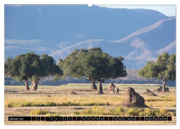 Produktbild: Faszination Simbabwe (Wandkalender 2026 DIN A2 quer), CALVENDO Monatskalender