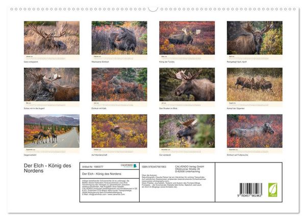 Produktbild: Der Elch - K&ouml;nig des Nordens (hochwertiger Premium Wandkalender 2026 DIN A2 quer), Kunstdruck in Hochglanz