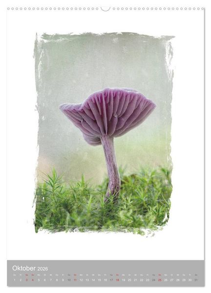 Produktbild: Kunstwerk Natur (Wandkalender 2026 DIN A2 hoch), CALVENDO Monatskalender