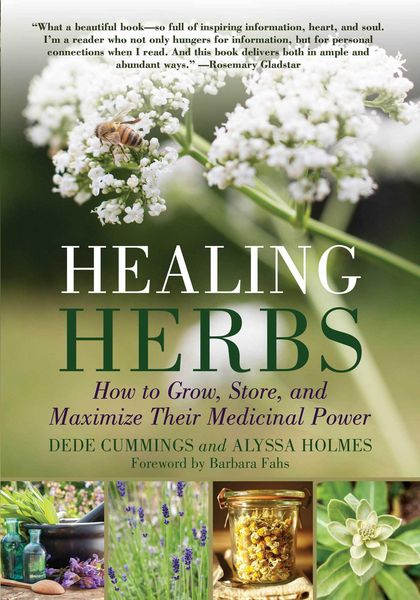 Produktbild: Healing Herbs