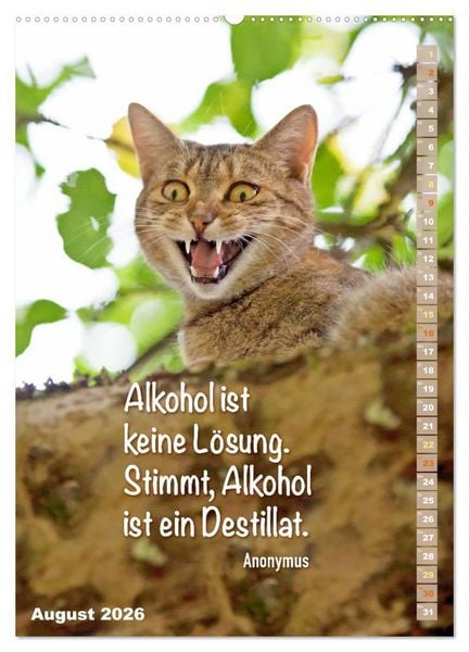 Produktbild: Der literarische Katerkalender (Wandkalender 2026 DIN A2 hoch), CALVENDO Monatskalender