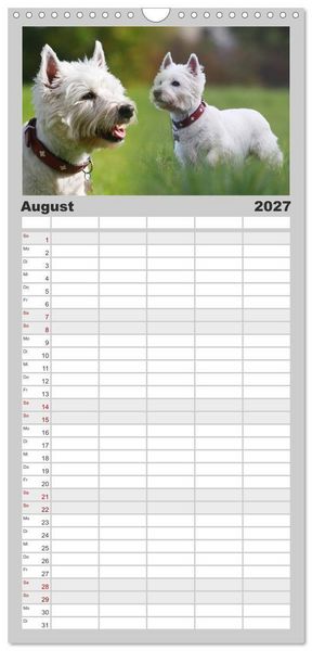 Produktbild: Familienplaner 2027 - West Highland White Terrier - Selbstbewustes Powerpaket - der Westie mit 5 Spalten (Wandkalender, 21 x 45 cm) CALVENDO