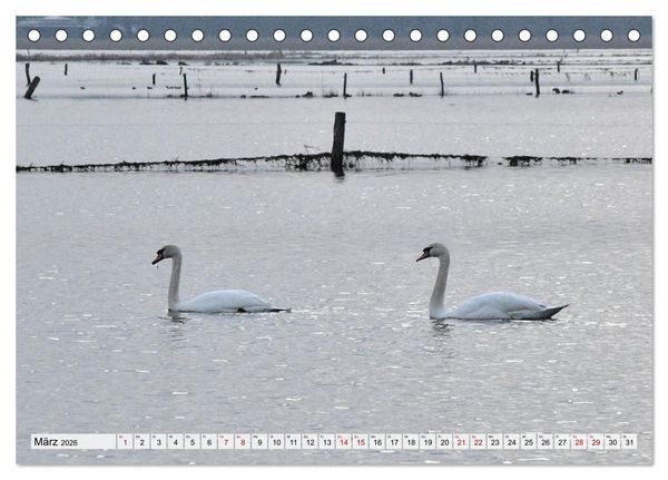 Produktbild: Hochwasser als Teil der Umwelt (Tischkalender 2026 DIN A5 quer), CALVENDO Monatskalender
