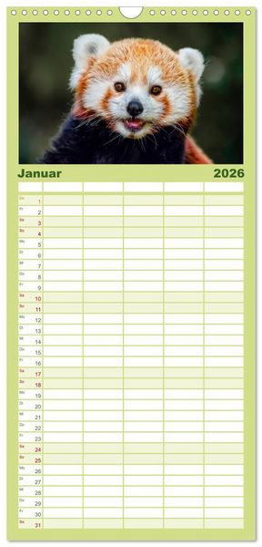 Produktbild: Familienplaner 2026 - Kleiner Panda mit 5 Spalten (Wandkalender, 21 x 45 cm) CALVENDO