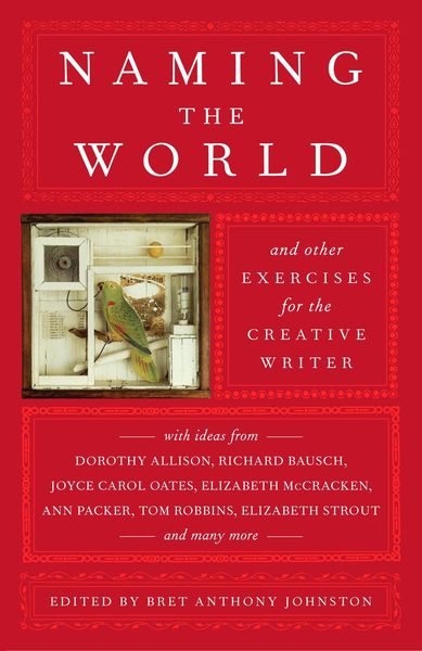 Produktbild: Naming the World