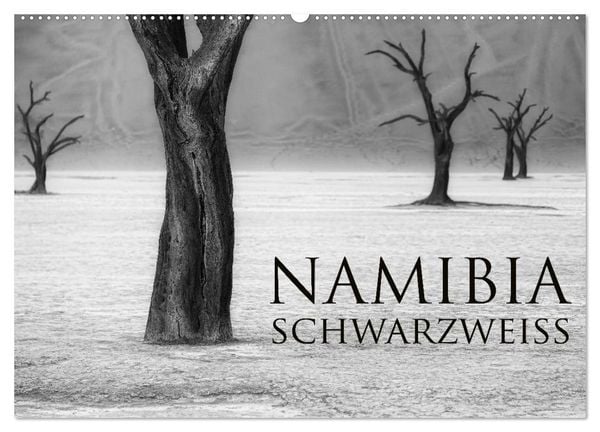 Namibia schwarzweiß (Wandkalender 2026 DIN A2 quer), CALVENDO Monatskalender