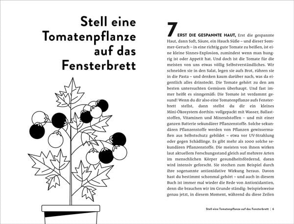 Produktbild: 15 Entscheidungen, die dein Leben verl&auml;ngern