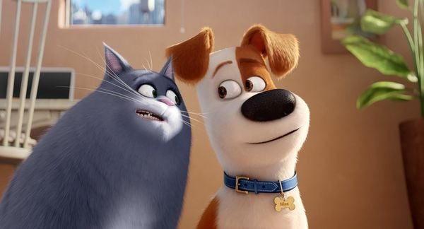 Produktbild: Pets Doppelpack: Pets 1 & Pets 2 [2 DVDs]