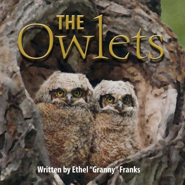 Produktbild: The Owlets