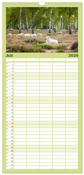 Produktbild: Familienplaner 2026 - Romantische Heidebl&uuml;te mit 5 Spalten (Wandkalender, 21 x 45 cm) CALVENDO