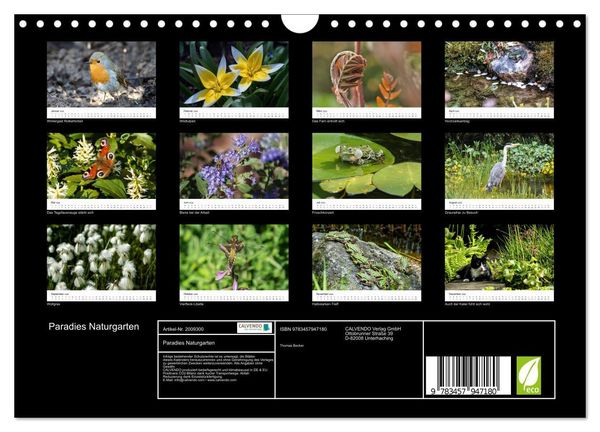 Produktbild: Paradies Naturgarten (Wandkalender 2026 DIN A4 quer), CALVENDO Monatskalender