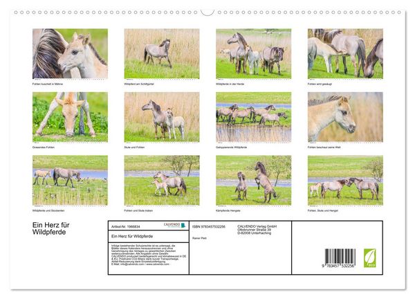 Produktbild: Ein Herz f&uuml;r Wildpferde (hochwertiger Premium Wandkalender 2026 DIN A2 quer), Kunstdruck in Hochglanz