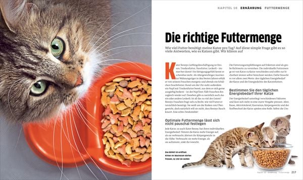 Produktbild: Die gro&szlig;e Katzenbibel