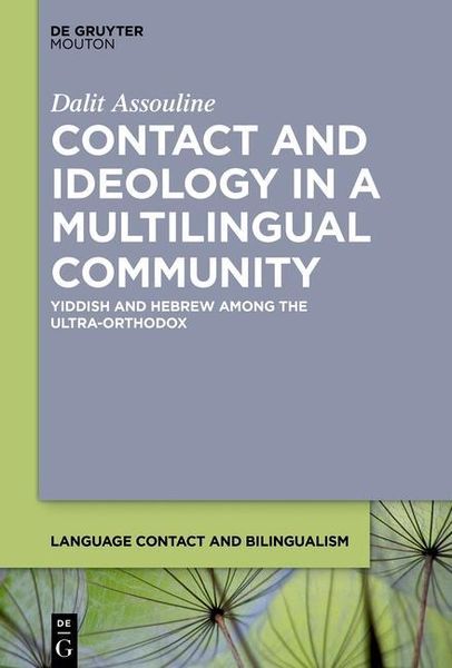 Produktbild: Contact and Ideology in a Multilingual Community