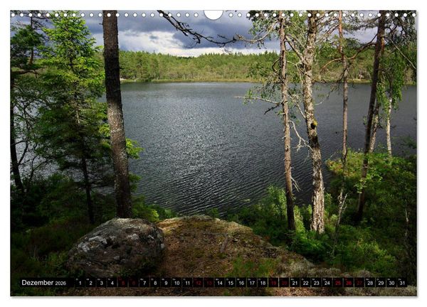 Produktbild: Tiveden, der NatURWALD in Schweden (Wandkalender 2026 DIN A3 quer), CALVENDO Monatskalender
