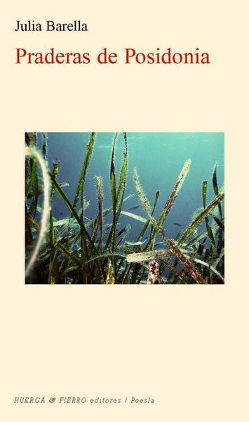 Produktbild: Praderas de Posidonia
