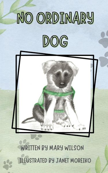 Produktbild: No Ordinary Dog
