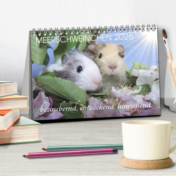 Produktbild: Meerschweinchen 2026 - bezaubernd, hinrei&szlig;end, entz&uuml;ckend (Tischkalender 2026 DIN A5 quer), CALVENDO Monatskalender