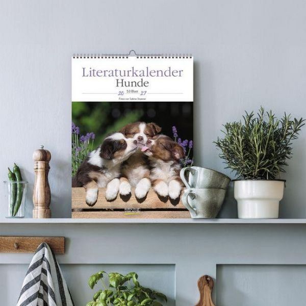 Produktbild: Literaturkalender Hunde 2027