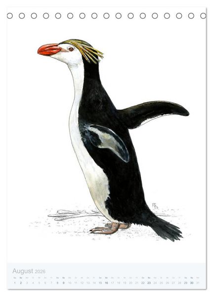 Produktbild: Pinguine - 13 Illustrationen (Tischkalender 2026 DIN A5 hoch), CALVENDO Monatskalender