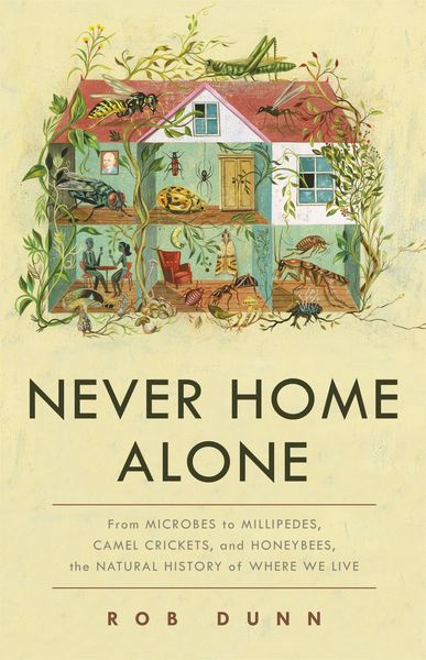 Produktbild: Never Home Alone