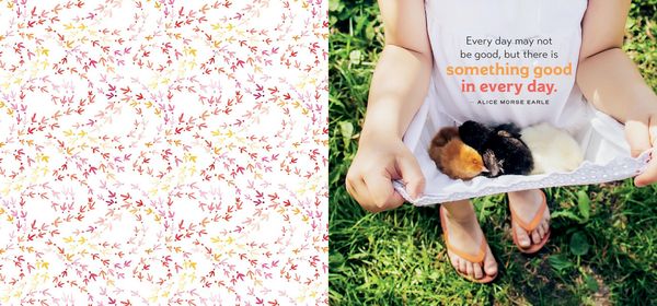 Produktbild: Chicken Wisdom Frame-Ups